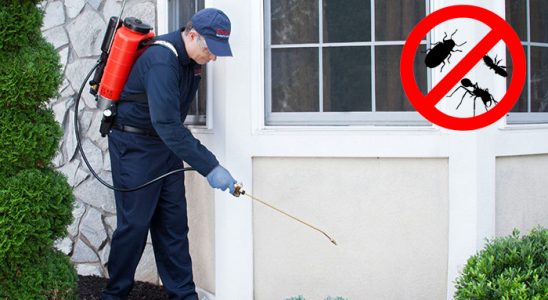 Hacılar Kemirgen İlaçlama böcek ilaçlama ve haşere kontrolü — ilaclama-tr.com